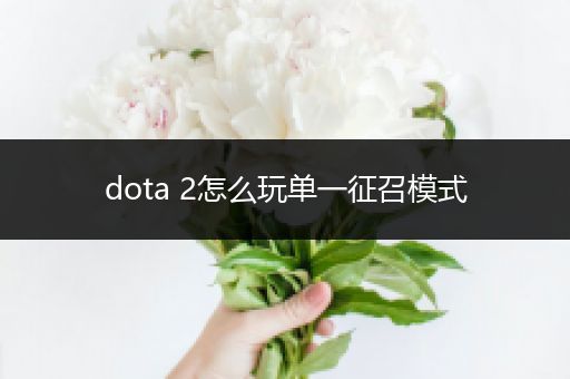 dota 2怎么玩单一征召模式