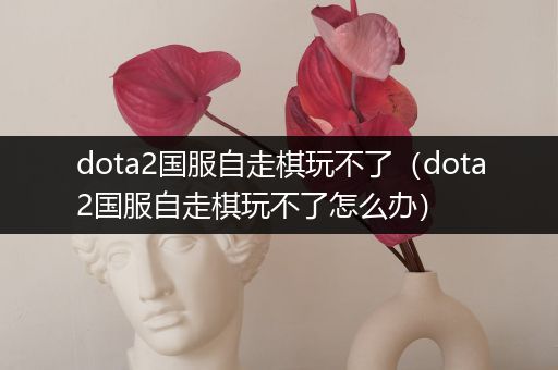 dota2国服自走棋玩不了（dota2国服自走棋玩不了怎么办）