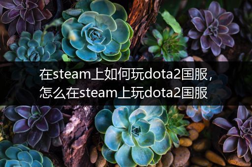 在steam上如何玩dota2国服，怎么在steam上玩dota2国服