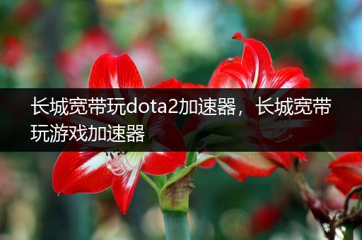 长城宽带玩dota2加速器，长城宽带玩游戏加速器