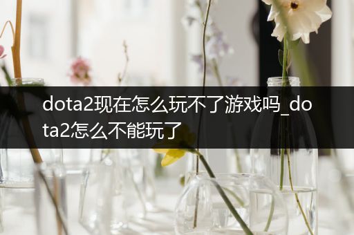 dota2现在怎么玩不了游戏吗_dota2怎么不能玩了