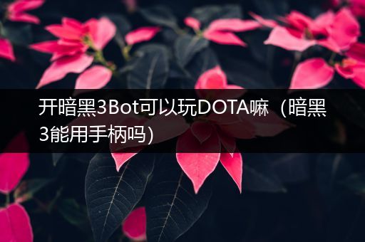 开暗黑3Bot可以玩DOTA嘛（暗黑3能用手柄吗）