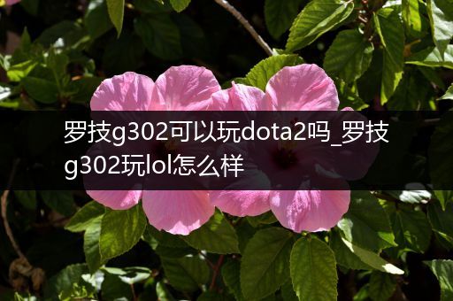 罗技g302可以玩dota2吗_罗技g302玩lol怎么样