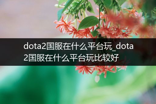 dota2国服在什么平台玩_dota2国服在什么平台玩比较好