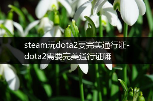 steam玩dota2要完美通行证-dota2需要完美通行证嘛