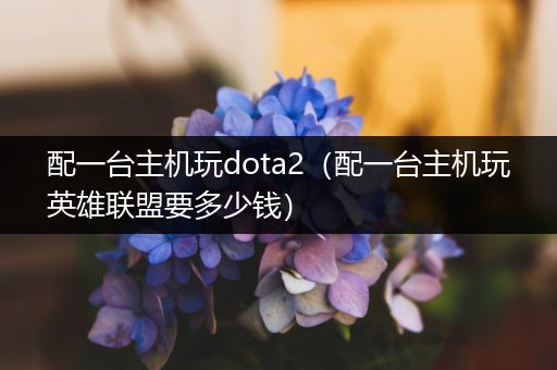 配一台主机玩dota2（配一台主机玩英雄联盟要多少钱）