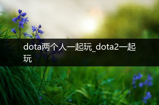 dota两个人一起玩_dota2一起玩