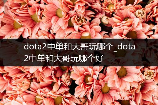 dota2中单和大哥玩哪个_dota2中单和大哥玩哪个好