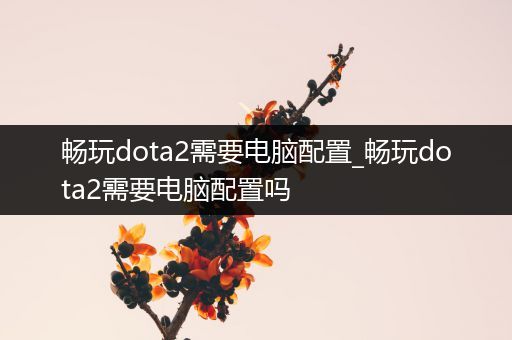 畅玩dota2需要电脑配置_畅玩dota2需要电脑配置吗