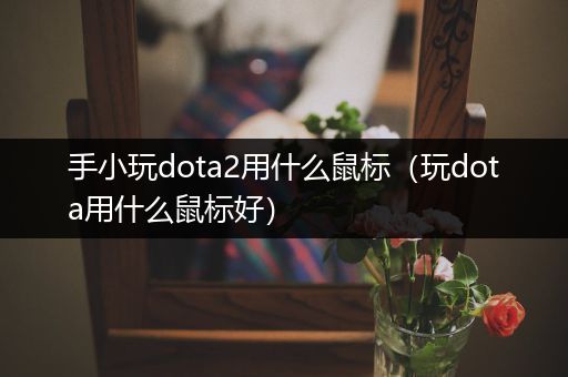 手小玩dota2用什么鼠标（玩dota用什么鼠标好）