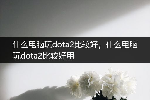 什么电脑玩dota2比较好，什么电脑玩dota2比较好用