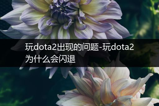 玩dota2出现的问题-玩dota2为什么会闪退