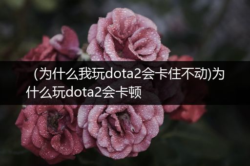 （为什么我玩dota2会卡住不动)为什么玩dota2会卡顿