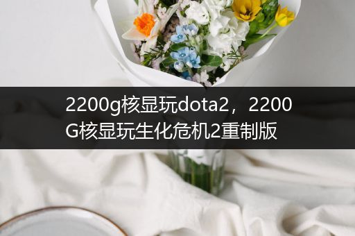 2200g核显玩dota2，2200G核显玩生化危机2重制版