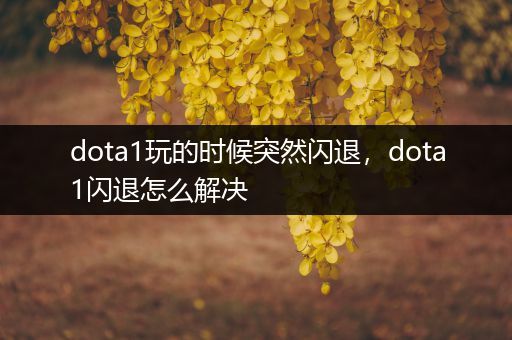 dota1玩的时候突然闪退，dota1闪退怎么解决