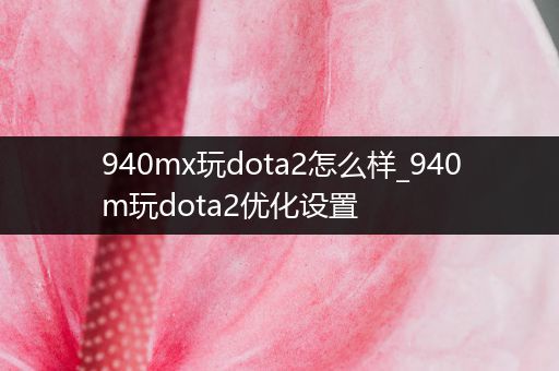 940mx玩dota2怎么样_940m玩dota2优化设置