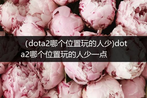 （dota2哪个位置玩的人少)dota2哪个位置玩的人少一点