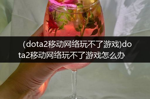 （dota2移动网络玩不了游戏)dota2移动网络玩不了游戏怎么办