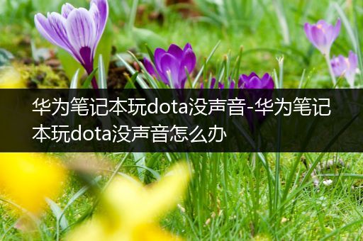 华为笔记本玩dota没声音-华为笔记本玩dota没声音怎么办