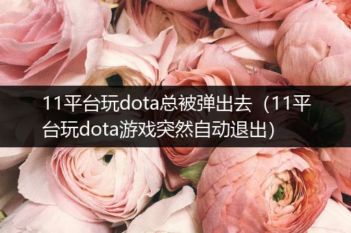 11平台玩dota总被弹出去（11平台玩dota游戏突然自动退出）