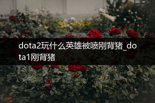 dota2玩什么英雄被喷刚背猪_dota1刚背猪
