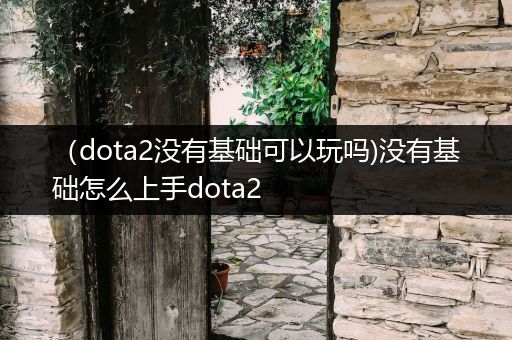 （dota2没有基础可以玩吗)没有基础怎么上手dota2