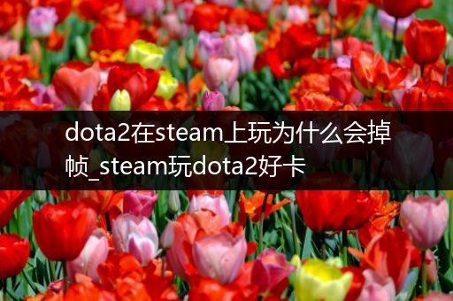 dota2在steam上玩为什么会掉帧_steam玩dota2好卡