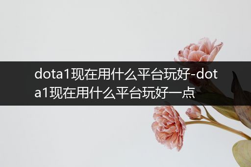 dota1现在用什么平台玩好-dota1现在用什么平台玩好一点