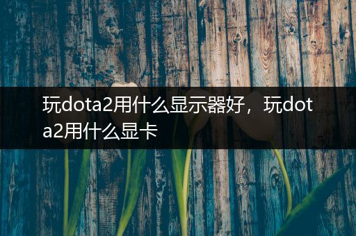 玩dota2用什么显示器好，玩dota2用什么显卡