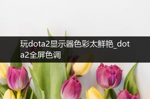 玩dota2显示器色彩太鲜艳_dota2全屏色调