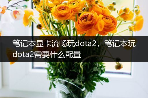 笔记本显卡流畅玩dota2，笔记本玩dota2需要什么配置