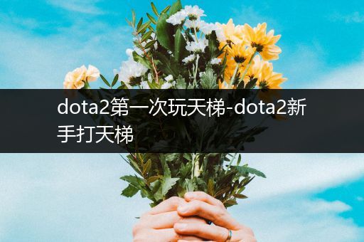 dota2第一次玩天梯-dota2新手打天梯