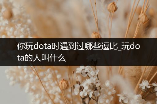 你玩dota时遇到过哪些逗比_玩dota的人叫什么