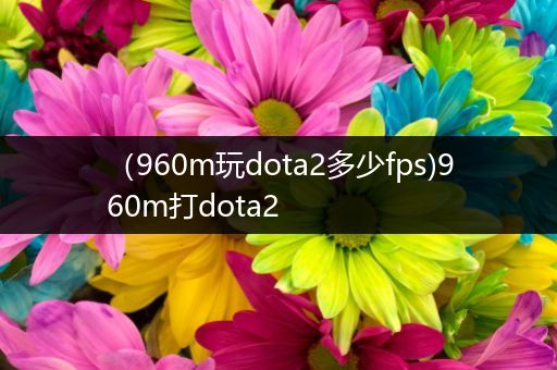（960m玩dota2多少fps)960m打dota2