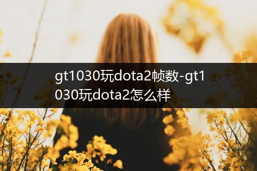 gt1030玩dota2帧数-gt1030玩dota2怎么样