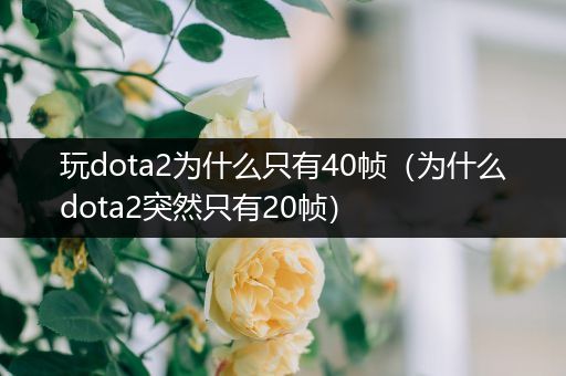 玩dota2为什么只有40帧（为什么dota2突然只有20帧）