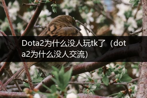 Dota2为什么没人玩tk了（dota2为什么没人交流）