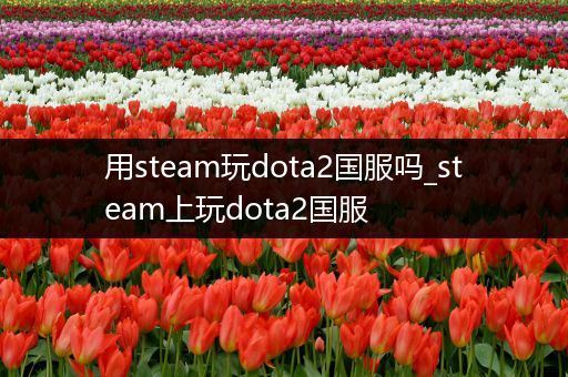 用steam玩dota2国服吗_steam上玩dota2国服