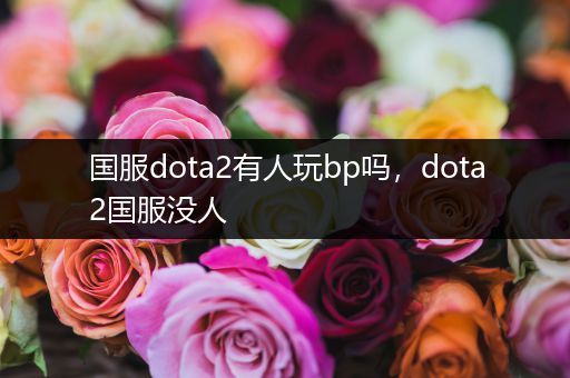 国服dota2有人玩bp吗，dota2国服没人