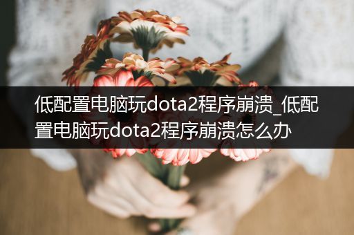 低配置电脑玩dota2程序崩溃_低配置电脑玩dota2程序崩溃怎么办