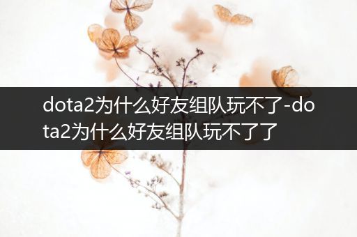 dota2为什么好友组队玩不了-dota2为什么好友组队玩不了了