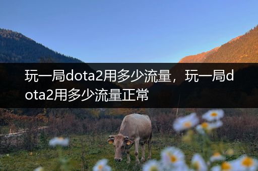 玩一局dota2用多少流量，玩一局dota2用多少流量正常