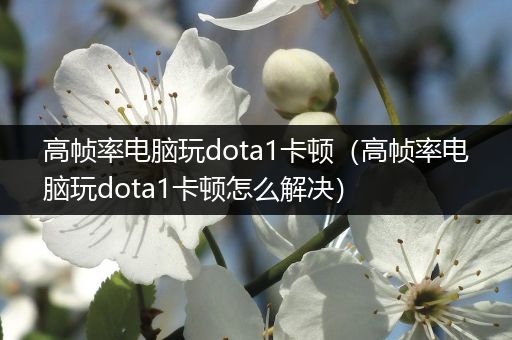 高帧率电脑玩dota1卡顿（高帧率电脑玩dota1卡顿怎么解决）