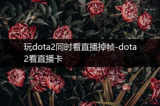 玩dota2同时看直播掉帧-dota2看直播卡