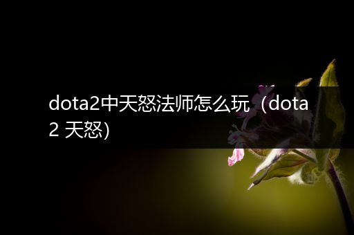 dota2中天怒法师怎么玩（dota2 天怒）