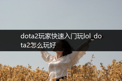 dota2玩家快速入门玩lol_dota2怎么玩好