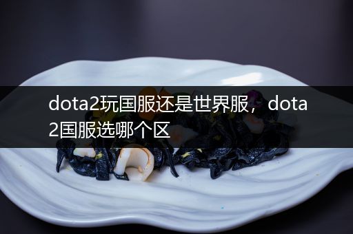 dota2玩国服还是世界服，dota2国服选哪个区