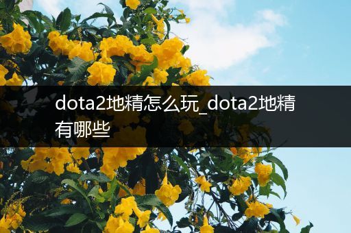 dota2地精怎么玩_dota2地精有哪些