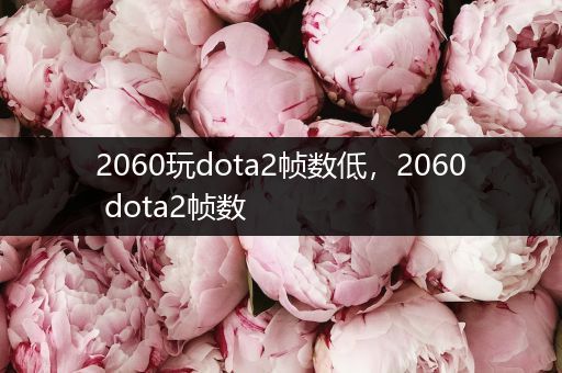 2060玩dota2帧数低，2060 dota2帧数