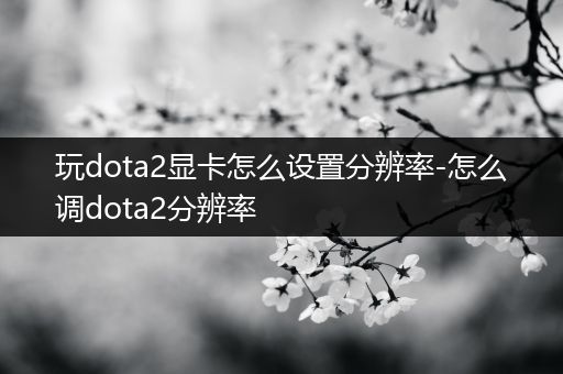 玩dota2显卡怎么设置分辨率-怎么调dota2分辨率